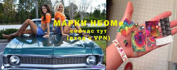 мдпв Богородицк